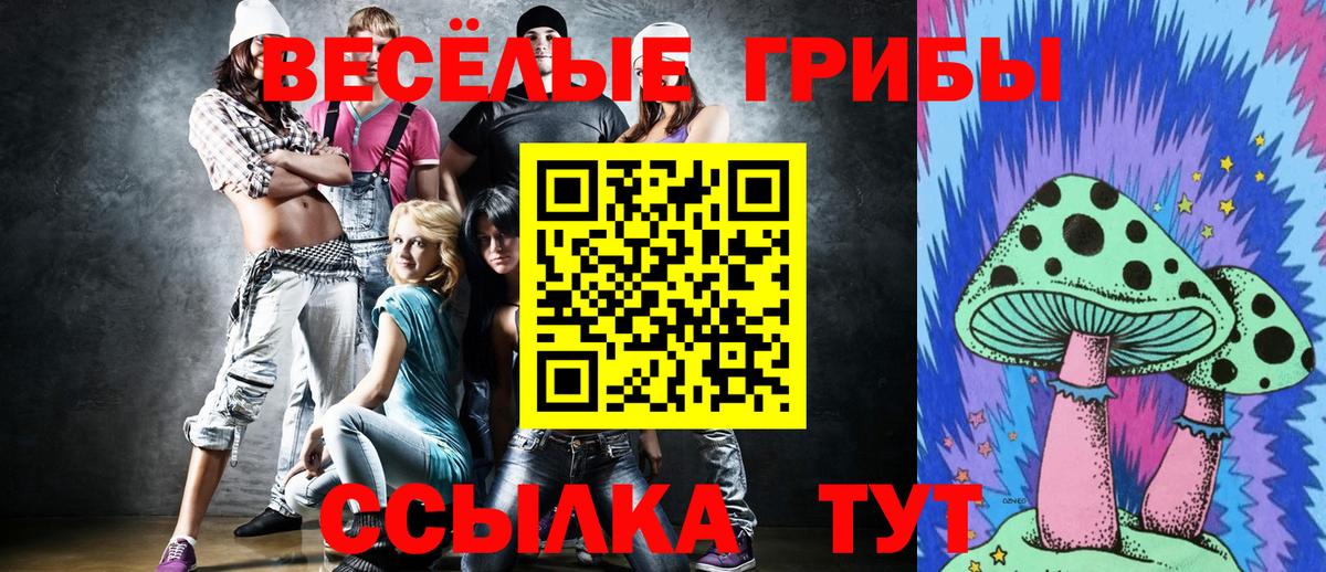 Мытищи  Галлюциногенные грибы Psilocybine cubensis  Псилоцибиновые грибы мухоморы  Вход с VPN 